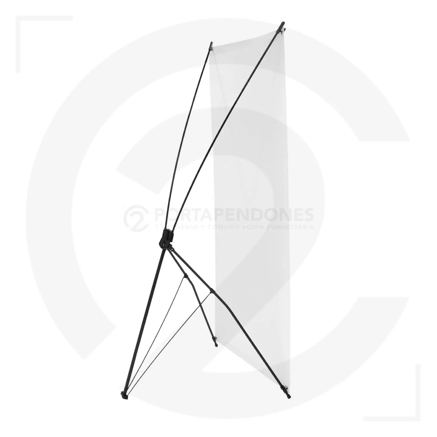 portapendon-arana-_5_